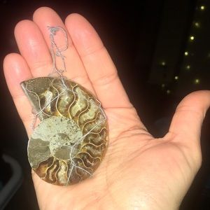 Ammonite pendant with fixture